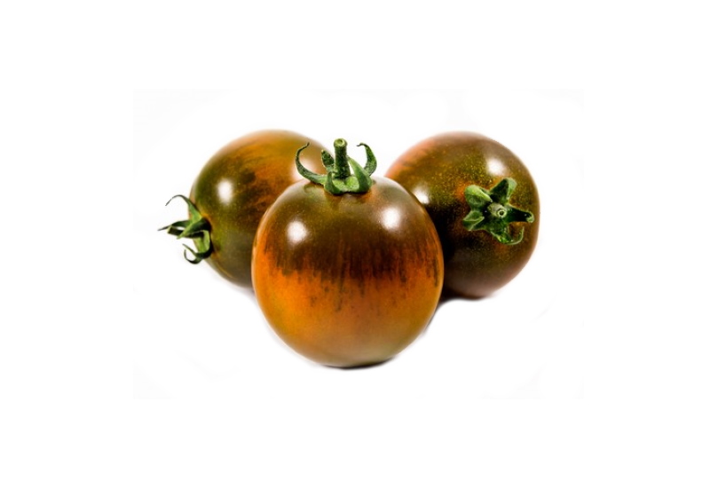zucchini-fiore