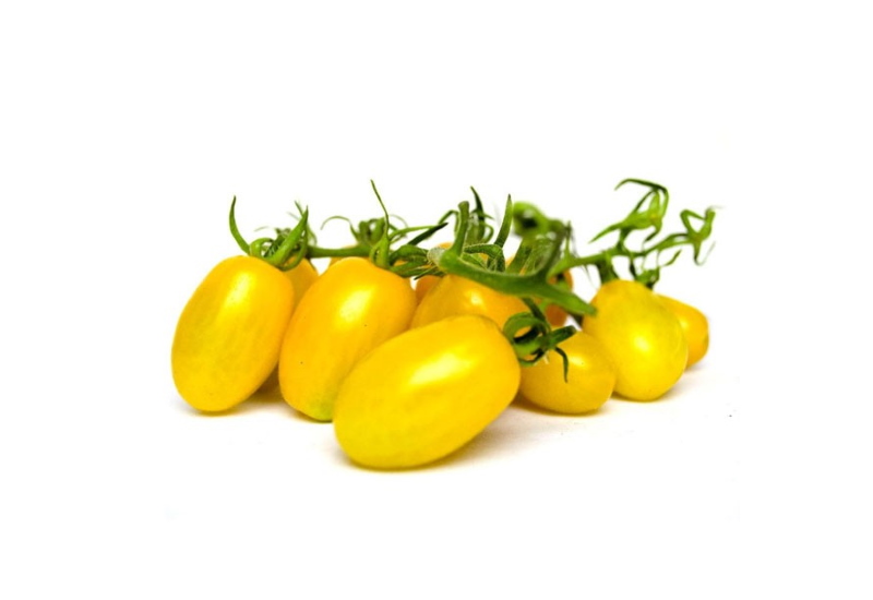 zucchini-fiore
