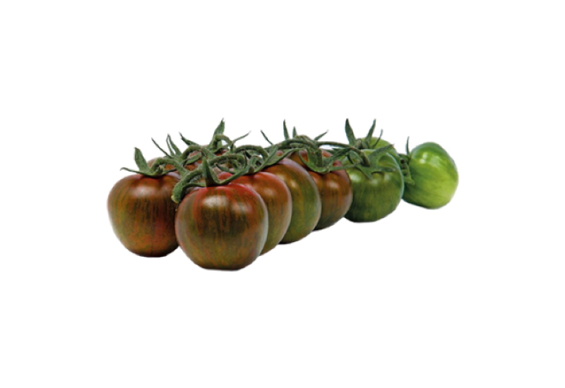 zucchini-fiore